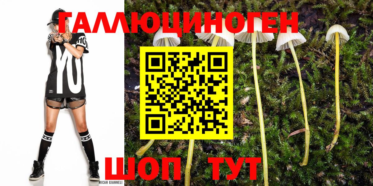 Псилоцибиновые грибы MAGIC MUSHROOMS Лобня