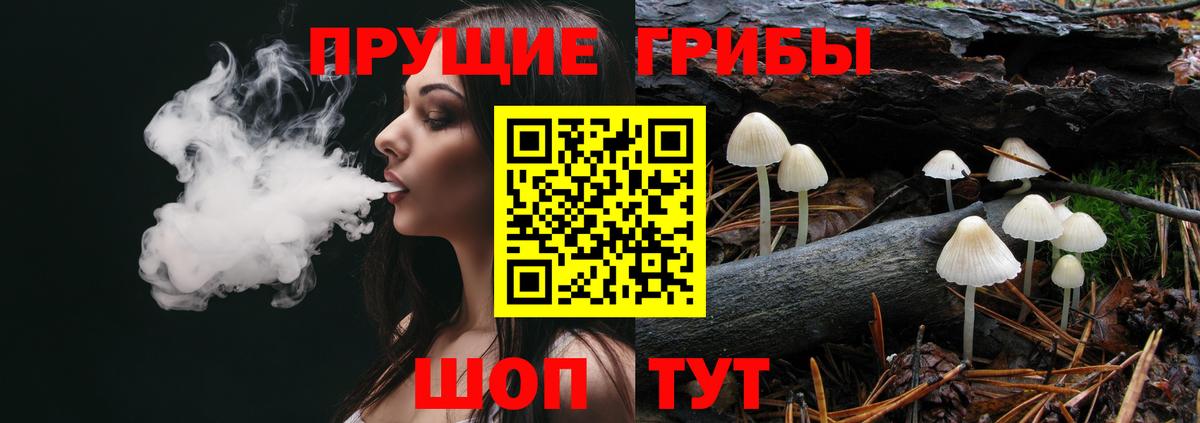 Псилоцибиновые грибы Psilocybe  Вход с VPN  Лобня 